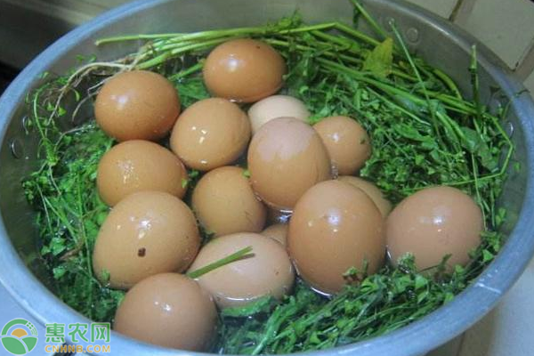 为什么三月三要吃地菜煮鸡蛋?吃地菜煮鸡蛋.
